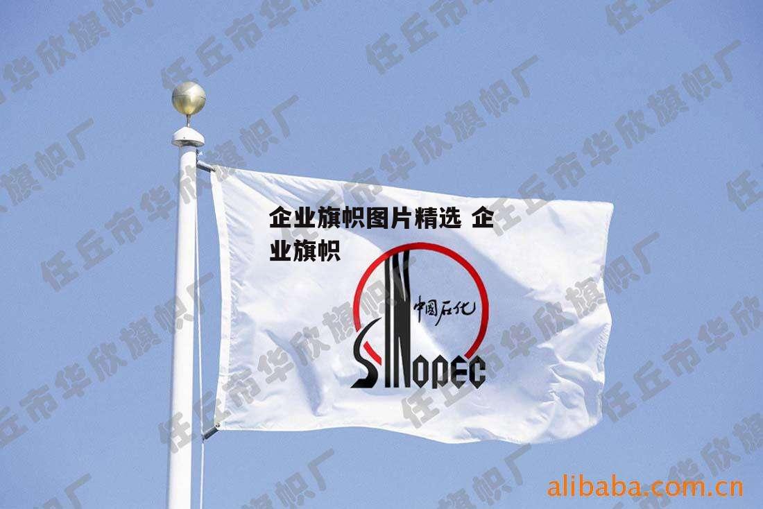 企业旗帜图片精选 企业旗帜