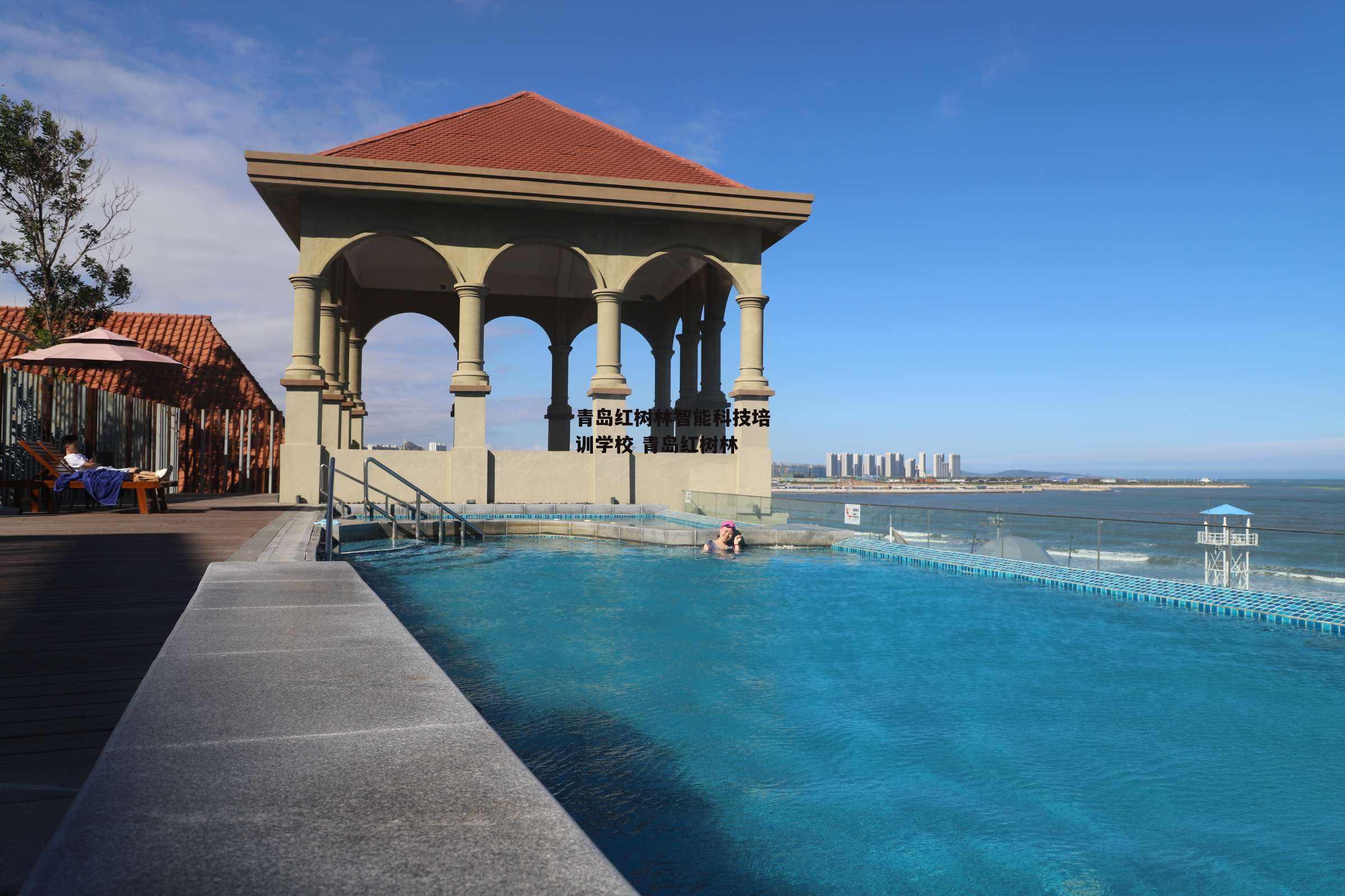 青岛红树林智能科技培训学校 青岛红树林