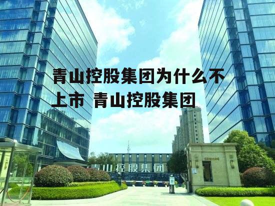 青山控股集团为什么不上市 青山控股集团