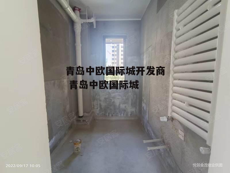 青岛中欧国际城开发商 青岛中欧国际城
