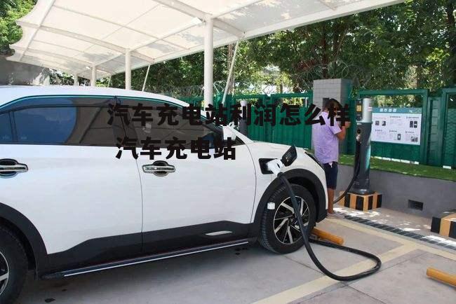汽车充电站利润怎么样 汽车充电站