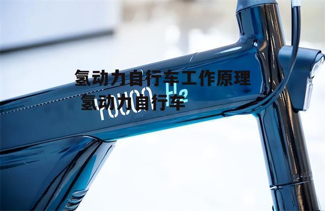 氢动力自行车工作原理 氢动力自行车