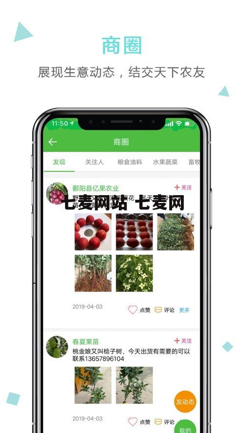 七麦网站 七麦网