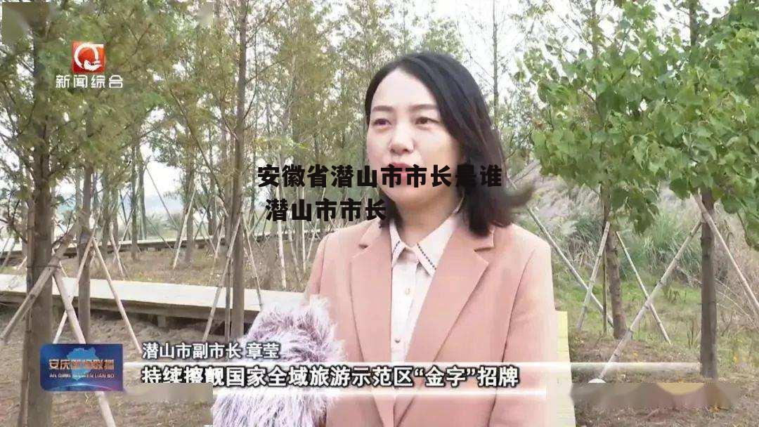 安徽省潜山市市长是谁 潜山市市长
