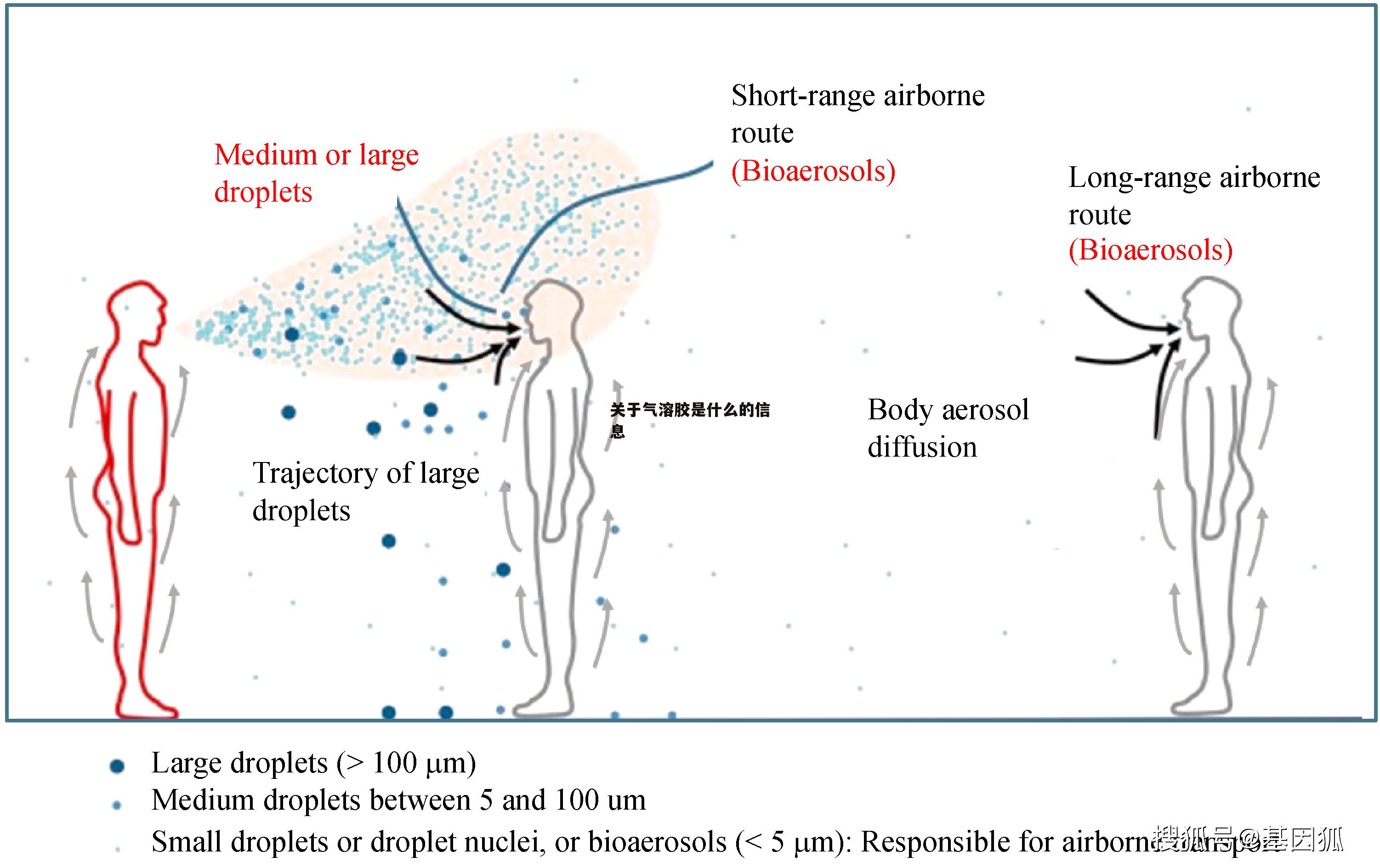 关于气溶胶是什么的信息